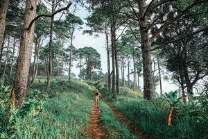 BIB: 
                            <button type="button" onclick="openModal(25652726)" class="btn btn-primary btn-sm float-right btn-popup" data-toggle="modal" data-target=".modal-high-quality">
                        <i class="fas fa-shopping-cart"></i> Add to Cart
                    </button>
                                            <button type="button" onclick="isThisMe(25652726, true)" class="btn btn-success btn-sm float-right btn-popup btn-isme hidden" data-toggle="tooltip" data-placement="bottom" title="นี่คือรูปของคุณใช่ไหม คลิกที่นี่เพื่อเอาเข้าอัลบั้ม">
                        <i class="fas fa-plus"></i> Add to album
                    </button>
                    <button type="button" onclick="isThisMe(25652726, false)" class="btn btn-warning btn-sm float-right btn-popup btn-isnotme hidden">
                        <i class="fas fa-ban"></i> Remove from album
                    </button>